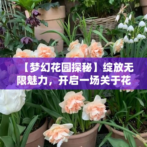 【梦幻花园探秘】绽放无限魅力，开启一场关于花朵的美丽奇幻之旅！探索花卉的秘密，沉浸在芬芳的天堂。